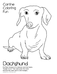 doodles-canine-coloring-fun-2