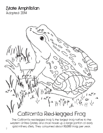 doodles-california-state-book-image-3
