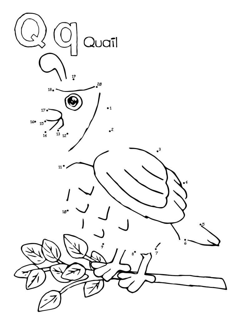 Doodles_Animal_Connect_the_Dots_ABC_Connect_the_Dots_Dot_to_Dot_Printables-Quail